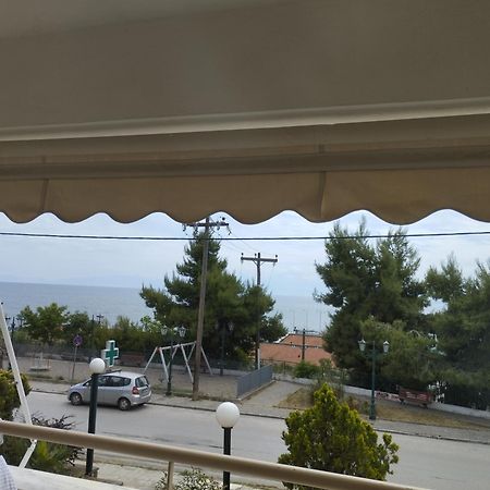 Seaview To Olympus, Sunny, Cosy Apartment Неа-Міханіона Екстер'єр фото