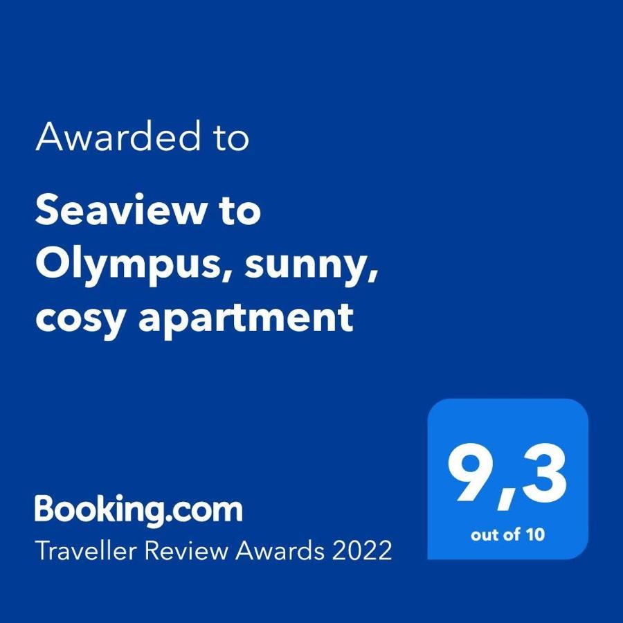 Seaview To Olympus, Sunny, Cosy Apartment Неа-Міханіона Екстер'єр фото